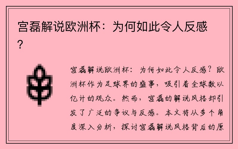 宫磊解说欧洲杯：为何如此令人反感？